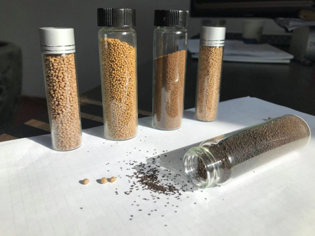 Feed samples.jpg